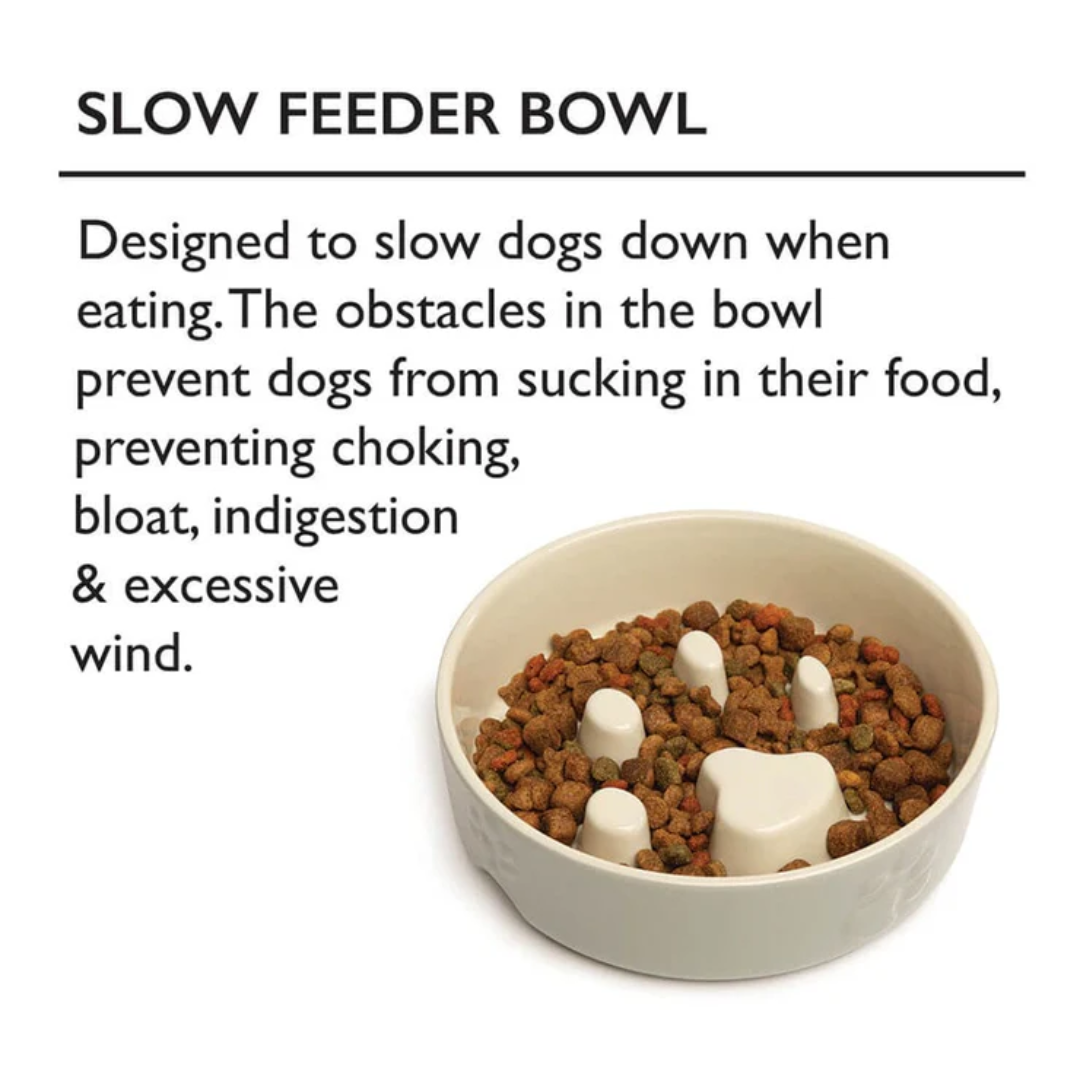 Scruffs ceramic slow feeder bowl, with kibble inside of it, along with an explanation of the benefits of a slow feeder bowl for dogs.