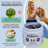 Natural Holistic Ingredients - 7 Probiotic Strains and the Prebiotic Inulin.