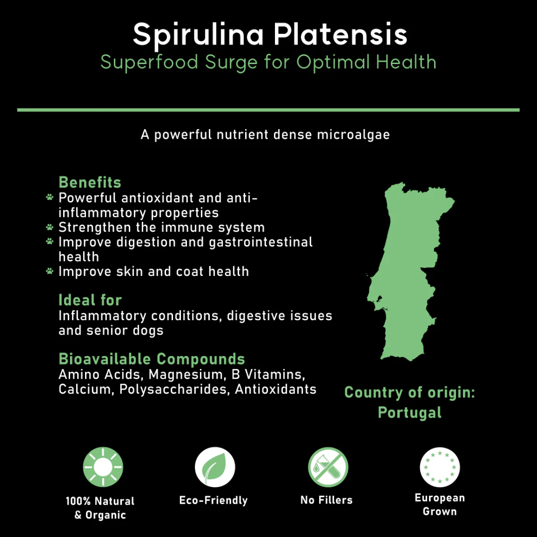 Spirulina platensis for Dogs - Borvo Nutrients