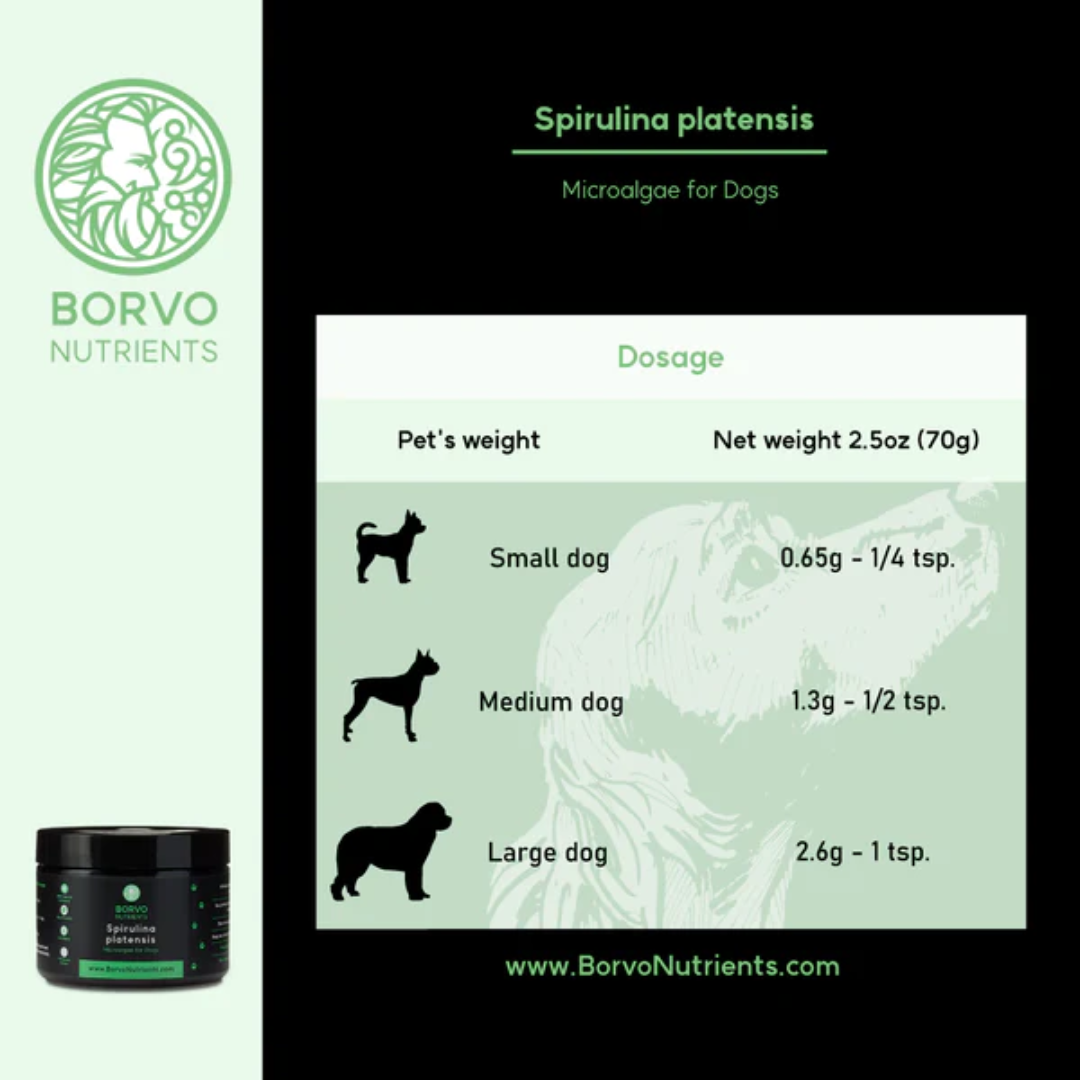 Spirulina platensis for Dogs - Borvo Nutrients