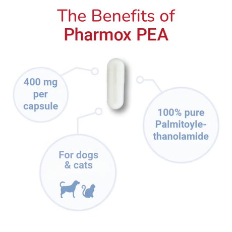 The Benefits of Pharmox PEA for Cats and Dogs, 400mg per capsule and 100% pure Palmitoylethanolamide.