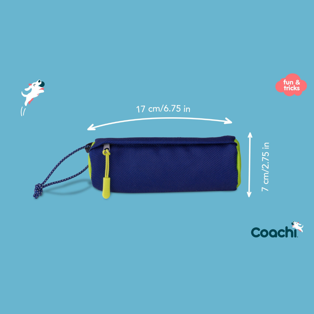 Measurement of Coachi Fetch and Reward