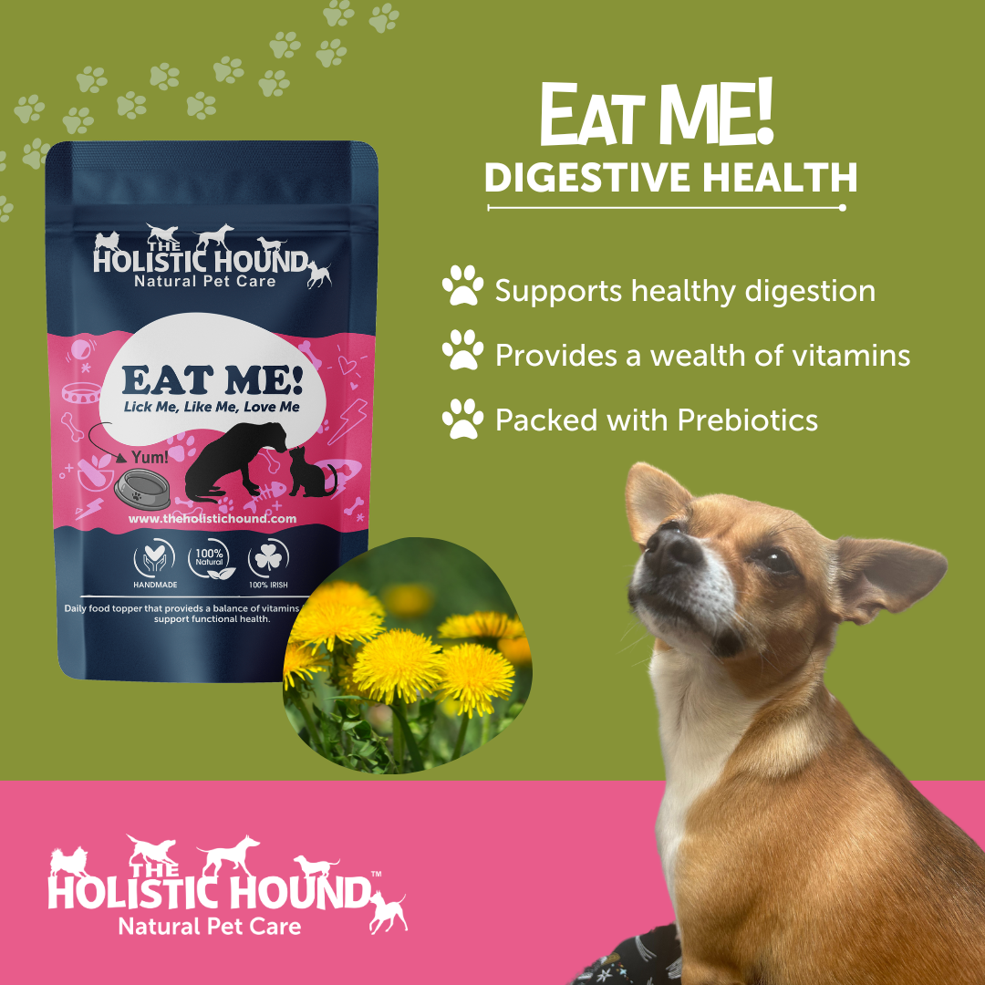 Holistic Hound Eat Me