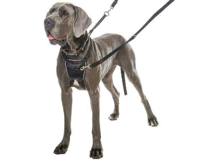 Halti No Pull Harness Fetch Your Pet Needs