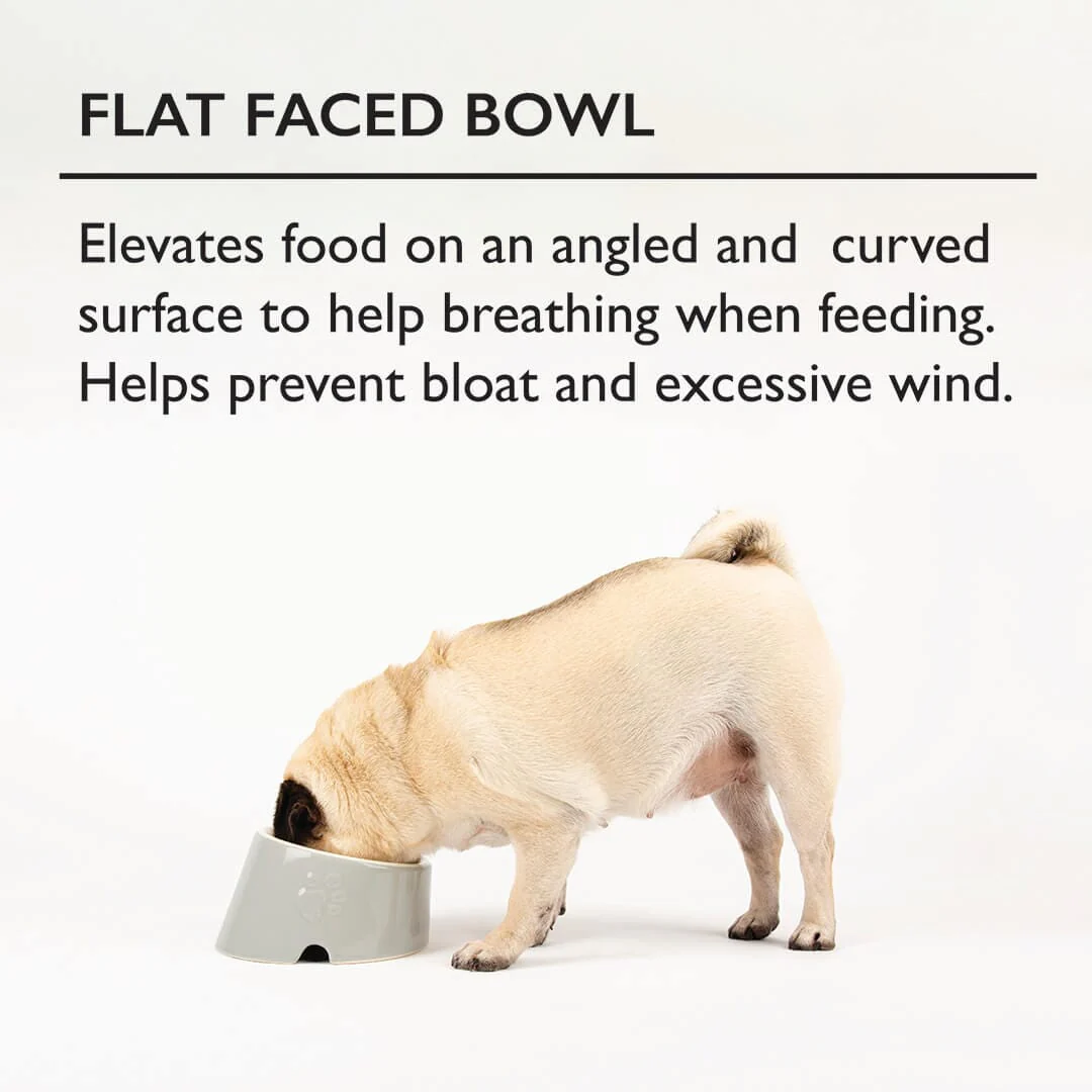 Flat faced bowl - Elevated food on an angled curved surface to help breathing when feeding. Helps prevent bloat and excess wind.