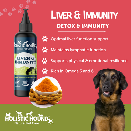 Holistic Hound Liver and Immunity 500ml