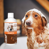 Probiotic Pet Shampoo | Provilan Lucaa+