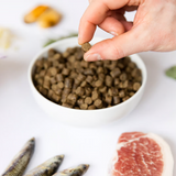 A hand hold a piece of Ydolo Semi Moist Cold Pressed Puppy Food with a bowl of the food in the background.