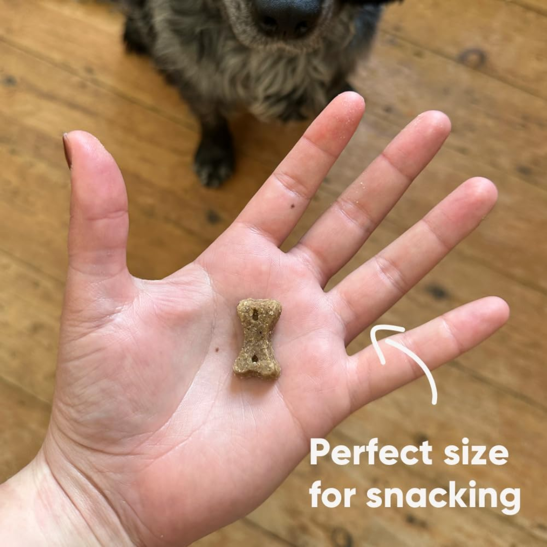 Perfect size for dogs