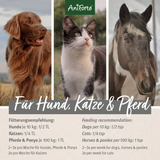 Feeding recommendations for AniForte Cod Liver Oil for cats, dogs and horses.