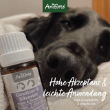 Up close image of a dog's face, a bottle of AniForte Storm and Fireworks globules, and text saying "High acceptability & easy to use".