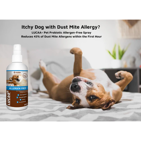 Probiotic Allergen Free Pet Spray | Provilan Lucca+