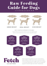 Fetch Your Pet Needs Raw Feeding Guide for Dogs.