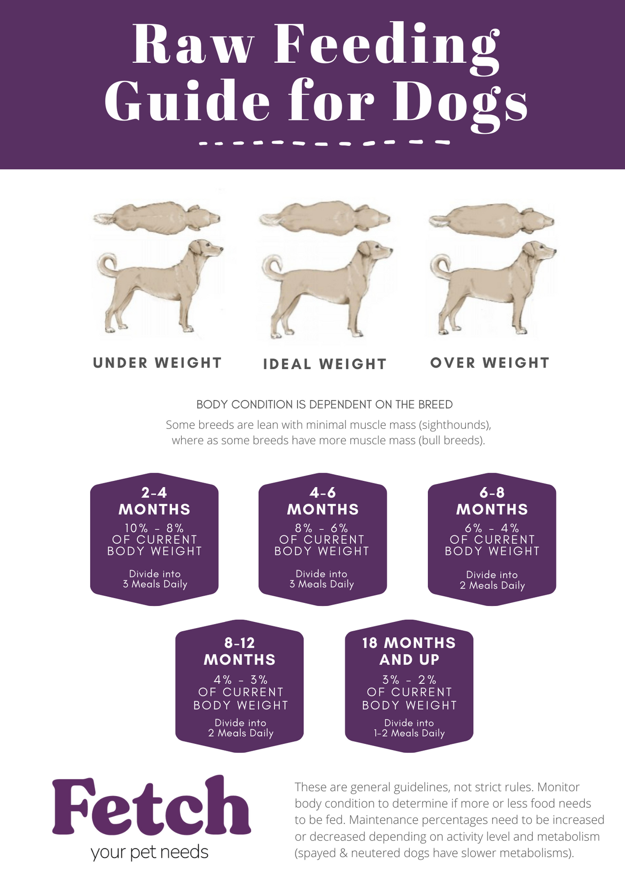 Fetch Your Pet Needs raw feeding guidelines.