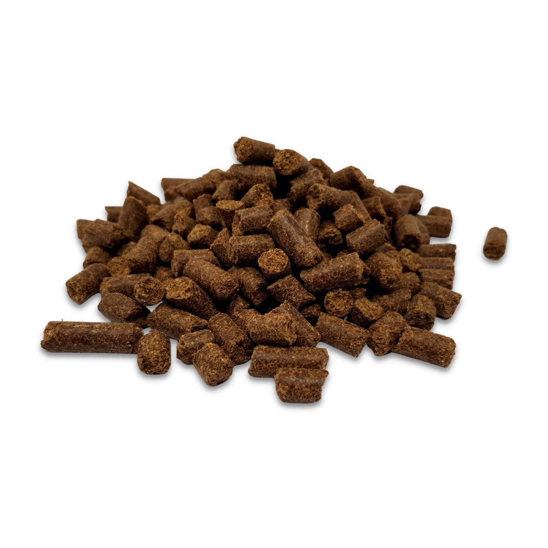 Cold pressed dog clearance kibble