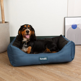 Setter dog in a Scruffs Expedition Box bed.