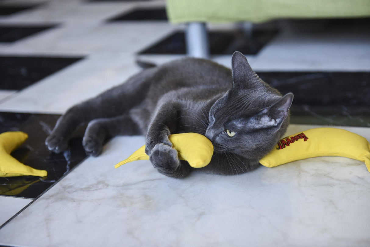 Yeowww! Chi-CAT-a Catnip Banana