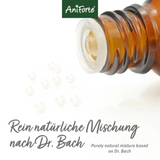 A small brown bottle, with AniForte Bach Flower recipe globules falling from it. The text reads "purely natural mixture based on Dr. Bach".