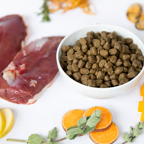 A bowl of Ydolo Duck cold pressed, semi moist dog food surrounded by raw ingredients including sweet potato and raw duck.