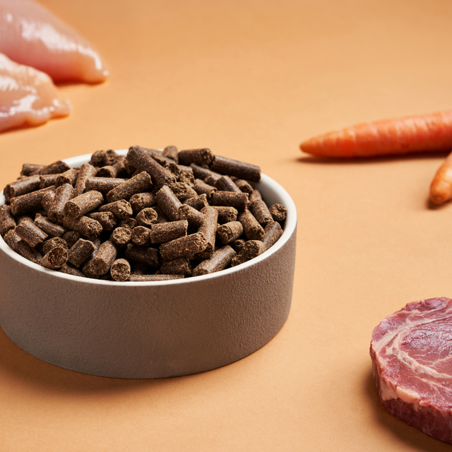 A bowl of DARF Regular Cold Pressed Dog Food with raw ingredients, chicken, beef and carrots.