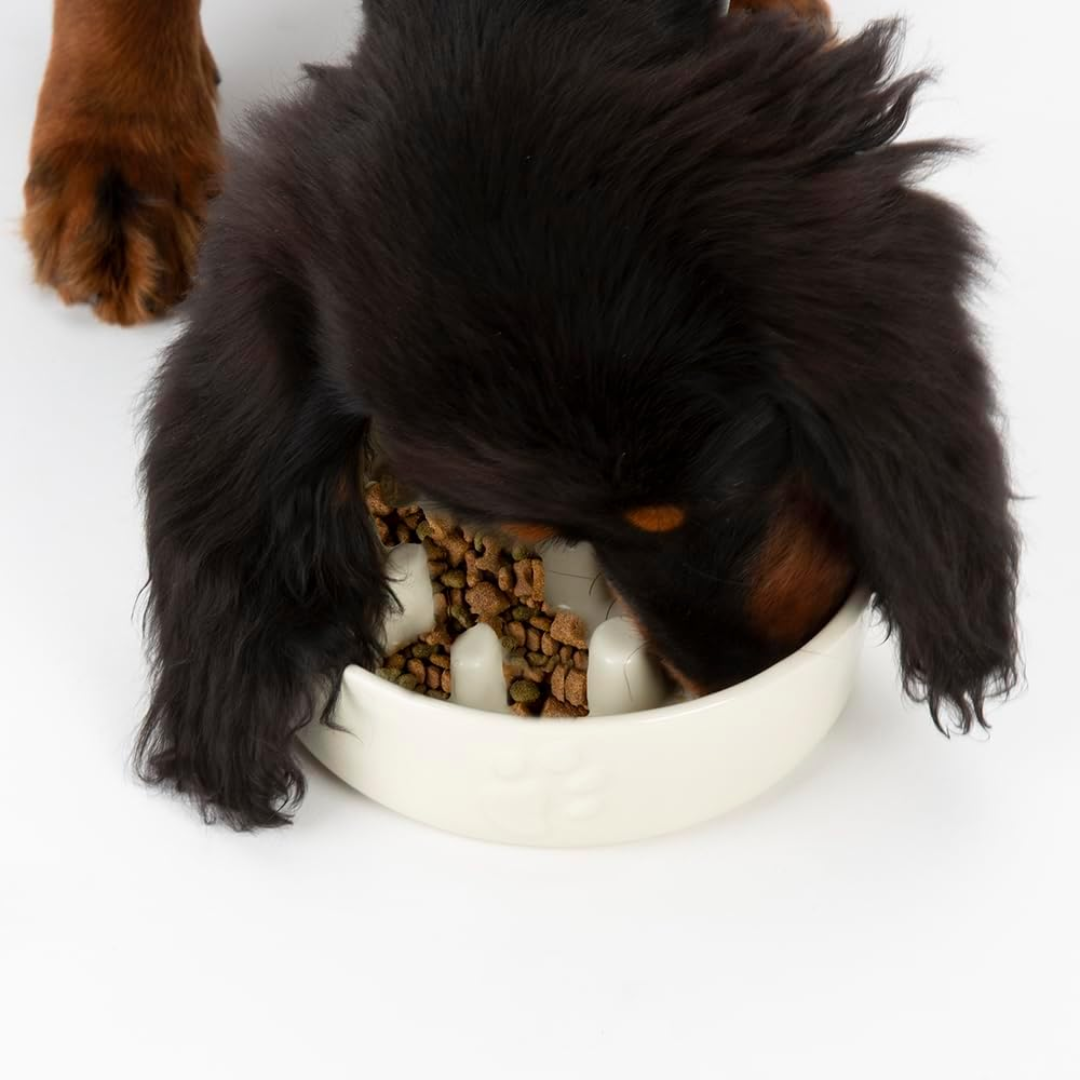 A black and tan dog eating kibble from a cream Scruffs ceramic slow feeder bowl.