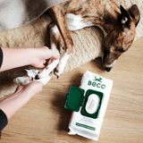 Whippet getting its paws cleaned with Beco Coconut Scented Bamboo wipes for pets.