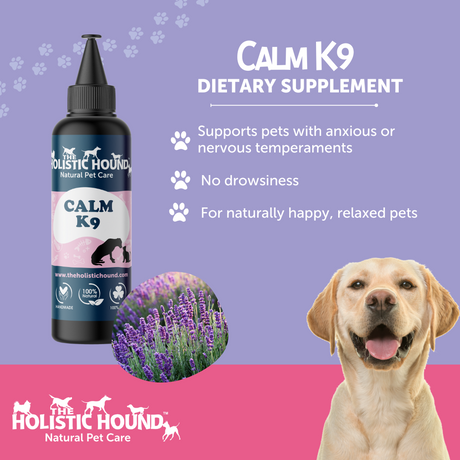 Holistic Hound Calm Canine 500ml