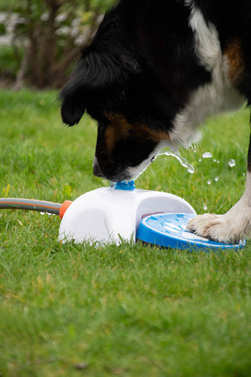 Cool Pets Splash Water Fountain Fetch Your Pet Needs