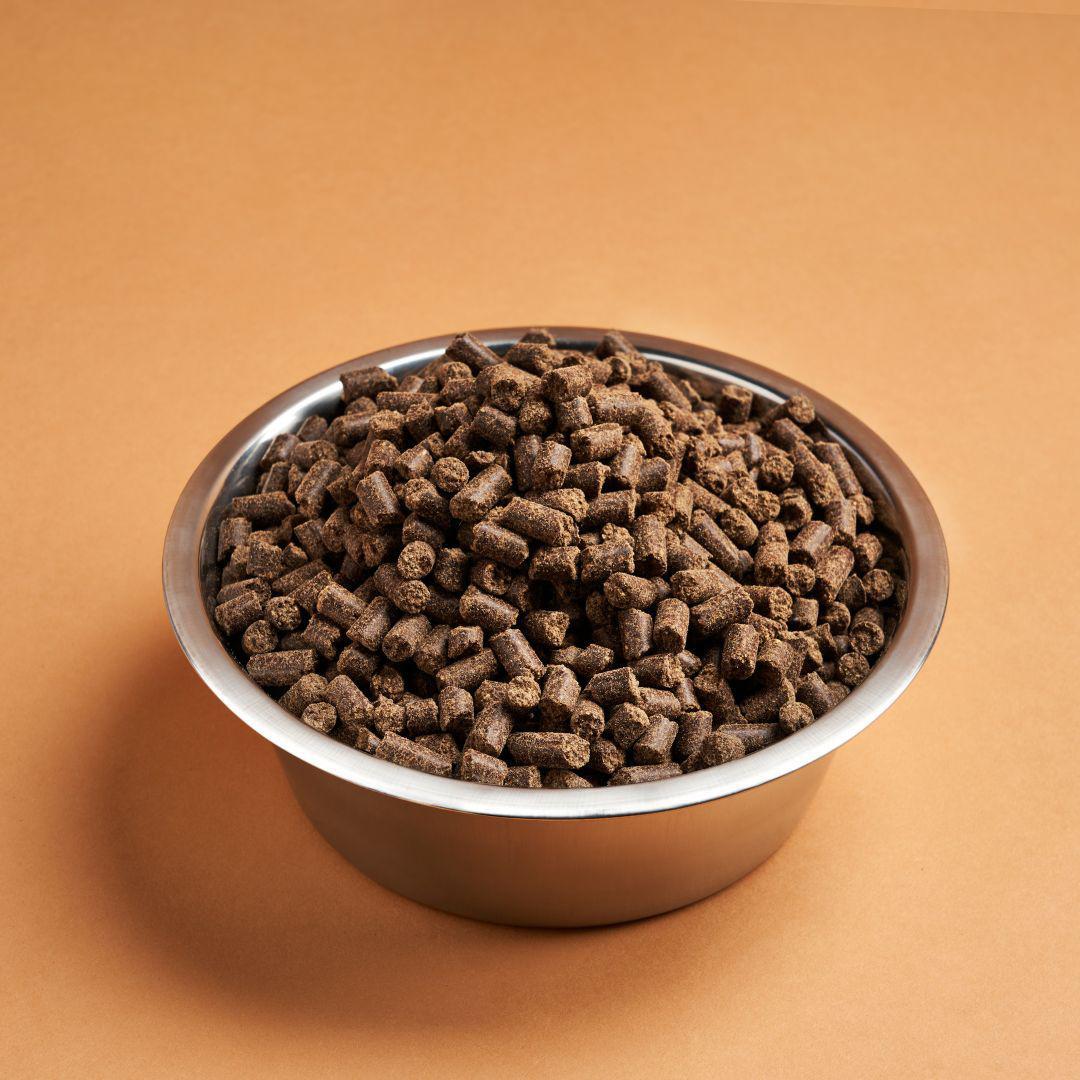 DARF Lamb Cold Pressed Dog food in a stainless steel bowl.