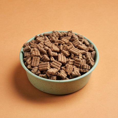 Darf Beef Cold Pressed Dog Food in a blue green bowl.