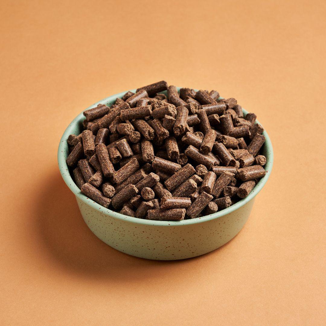 Darf Cold Pressed Light Bites Dog Food in a blue green bowl.