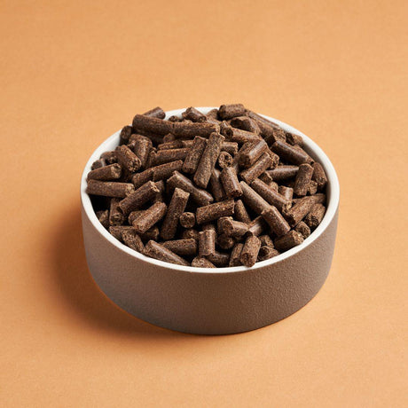 Darf Cold Pressed Light Bites Dog Food in a white ceramic dish.