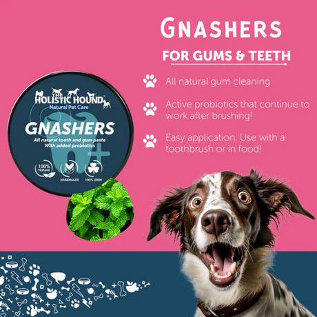 Benefits of Gnashers for dogs