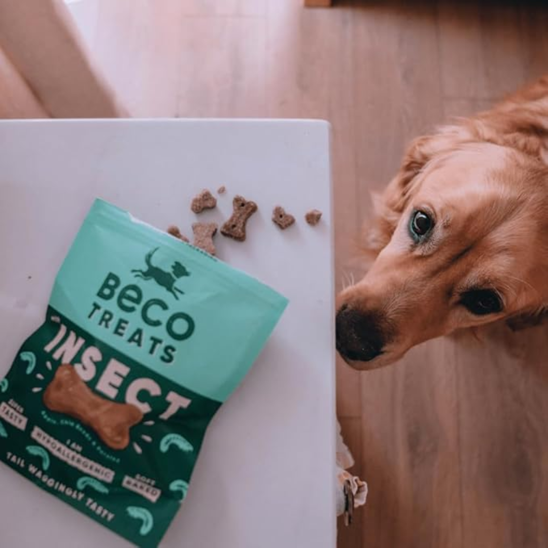 Beco Insect with Apple & Chia Seeds Dog Treats