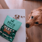 Beco Insect with Apple & Chia Seeds Dog Treats