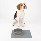 Beagle sitting in front of a pet bowl on a Scruffs faux leather placemat for pets.