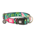 Max and Molly Tropical Dog Collar