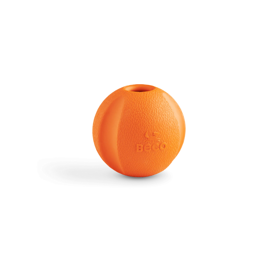 Orange dog ball.