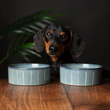 Dachshund sitting behind a wooden table with two Scruffs ceramic stoneware bowls on it.