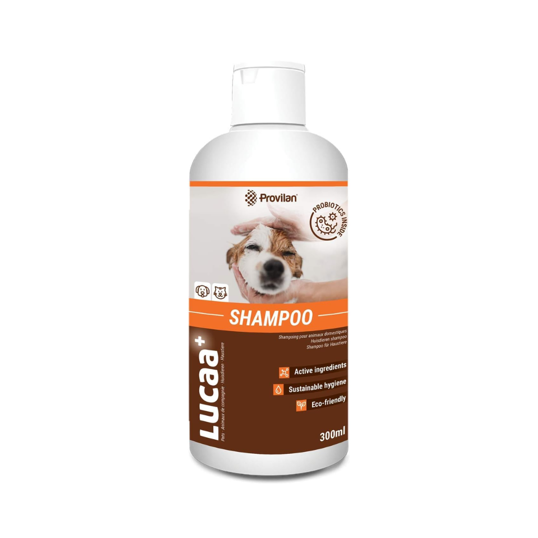 Probiotic Pet Shampoo | Provilan Lucaa+