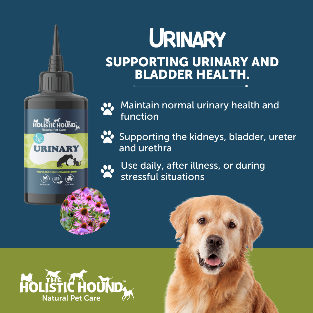 Holistic Hound Fundamentals Urinary