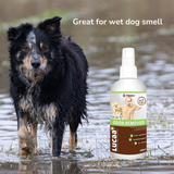 Provilan Lucca Odour Remover - Great for Wet Dog Smell with a photo of a wet dog.