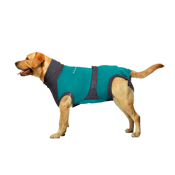 Canine surgical cheap suit