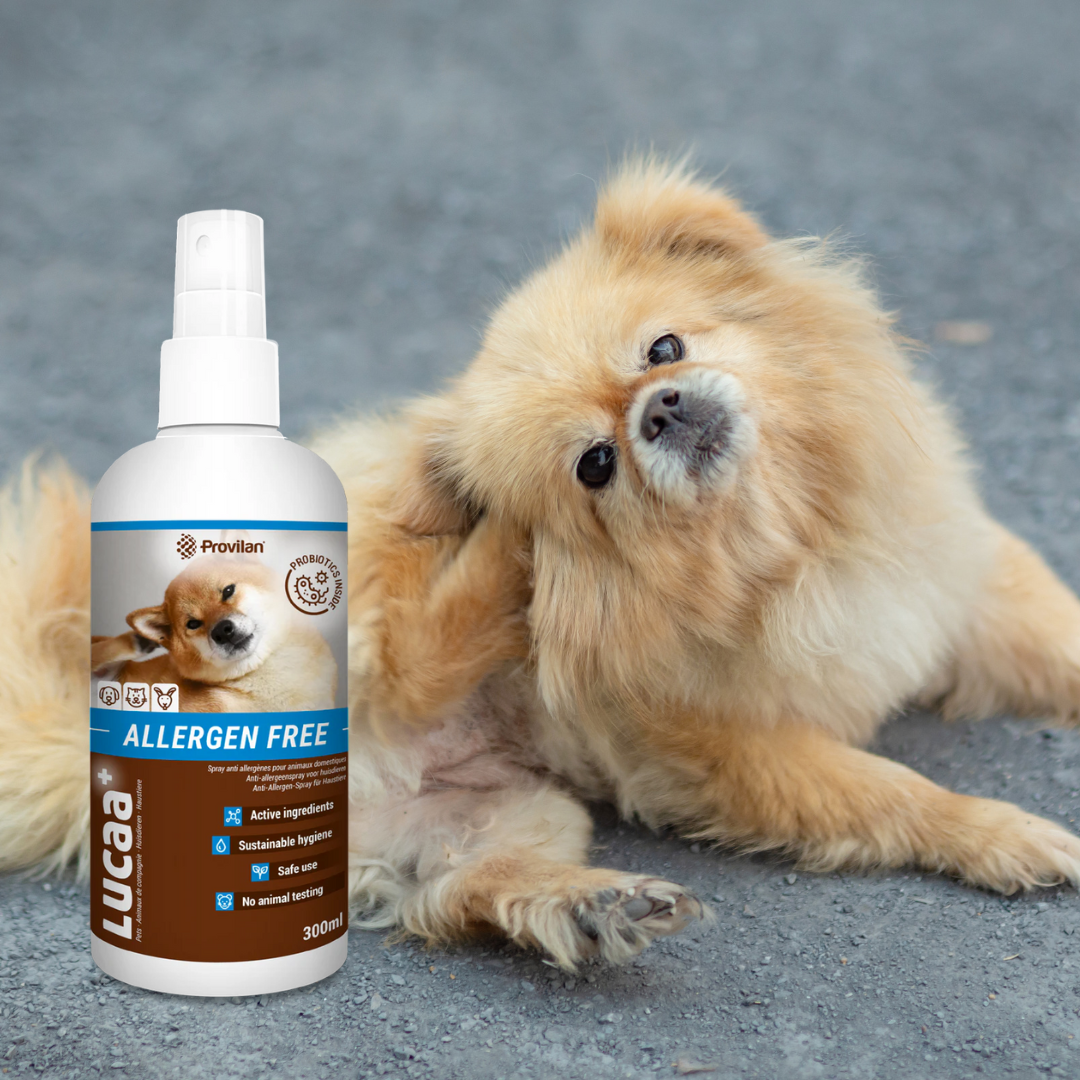 Probiotic Allergen Free Pet Spray | Provilan Lucca+