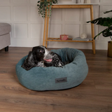 Spaniel in a teal Scruffs Oslo dog bed.