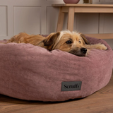 Close up of a brown dog laying in a Scruffs Oslo pet bed.