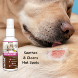 Dog licking a hot spot, with the text "soothes and cleans hot spots", and a bottle of Provilan Lucca Dermo Care Wound Care Spray for pets.