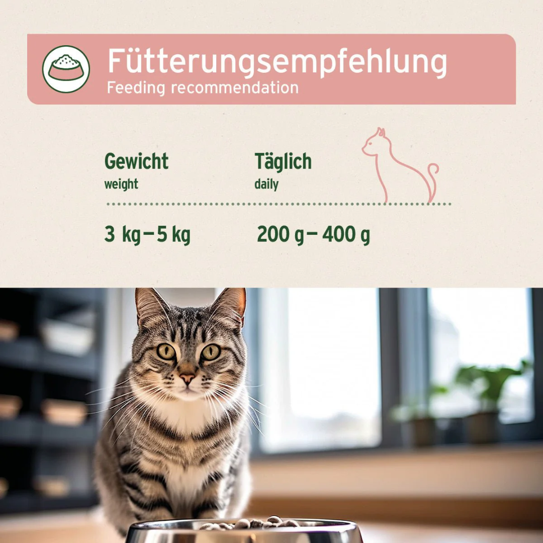 Feeding recommendation for PureNature Cat Food. A cat weighing 3 to 5 kg = 200g - 400g daily.