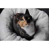 A tortoiseshell cat looking upwards, while sitting inside a APF Lambswool Donut pet bed.