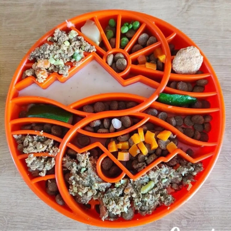 Sodapup Yin Yang Enrichment Tray filled with different foods.